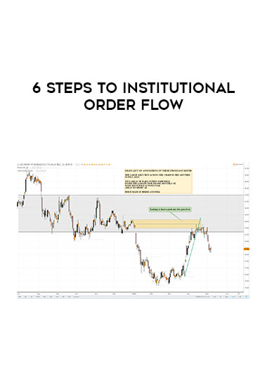 6 Steps To Institutional Order Flow courses available download now.