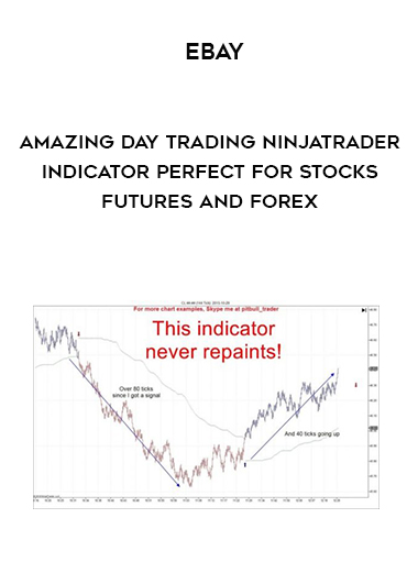 Ebay - Amazing Day Trading Ninjatrader Indicator Perfect For Stocks