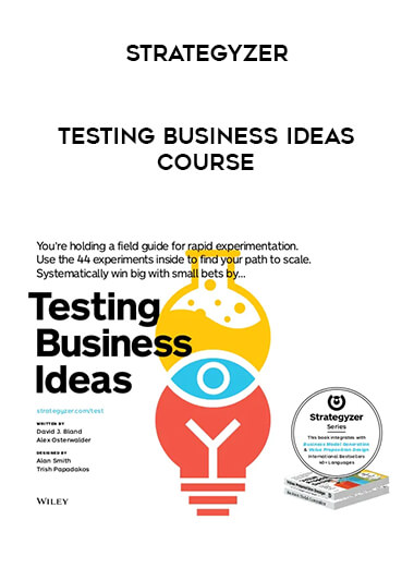 Strategyzer - Testing Business Ideas Course from https://roledu.com