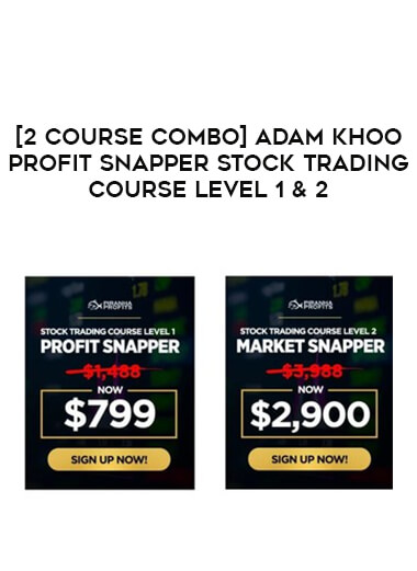 [2 Course Combo] Adam Khoo Profit Snapper Stock Trading Course Level 1& 2 from https://roledu.com