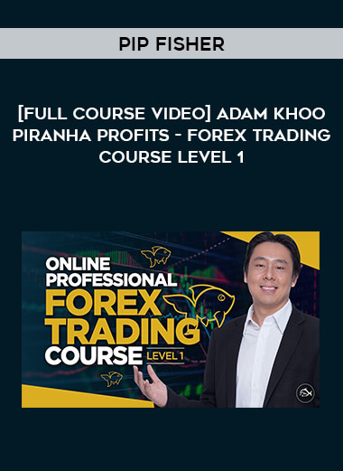 [Full Course Video] Adam Khoo Piranha Profits - Forex Trading Course Level 1 - Pip Fisher from https://roledu.com
